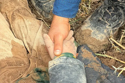 Okul çıkışı kaçırdı, dövüp kayalıklara gömdü: 10 yaşındaki Amir’e dayı dehşeti!