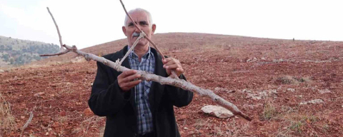 Adıyaman’da vicdan sızlatan görüntü: 10 bin meyve ağacı kırılarak katledildi!