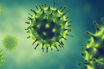 Sağlık Bakanlığı’ndan grip açıklaması: Mutasyonlu virüs Türkiye için tehdit değil