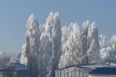 Göle’de eksi 20 dereceyle mücadele