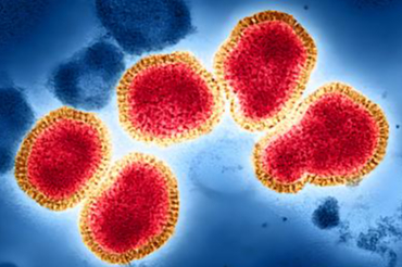 Mutasyona uğrayan H3N2 alarmı: DSÖ dünyayı uyardı