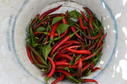 Acı biberin fazla tüketimi anksiyeteye yol açabilir