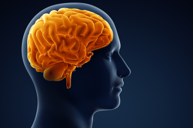 Yetersiz uyku ve işlenmiş gıda beyne zarar veriyor