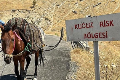 Bitlis’te köy kuduz nedeniyle karantinaya alındı