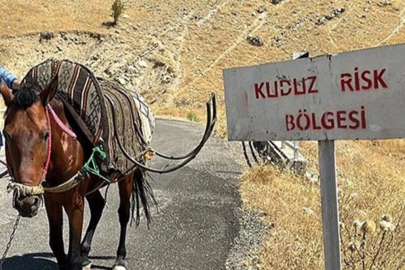 Bitlis’te köy kuduz nedeniyle karantinaya alındı
