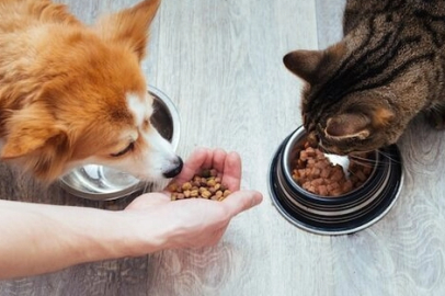 Kedi-köpek maması sektörü ihracatını 11 yılda 33 kat artırdı