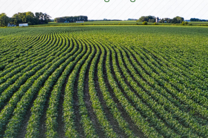 TAKE ile tarım arazileri daha verimli kullanılıyor