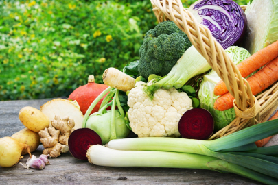 C vitamini deposu ocak ayı sebze ve meyveleri