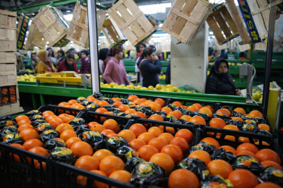 Tarımsal ihracat 2025'te 36,4 milyar dolar oldu