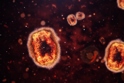 Sağlık yetkilileri uyardı: Hızla yayılıyor