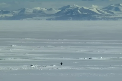 19 yıllık sahne bugünü anlattı: "Nihilist Penguen” neden herkesin dilinde?