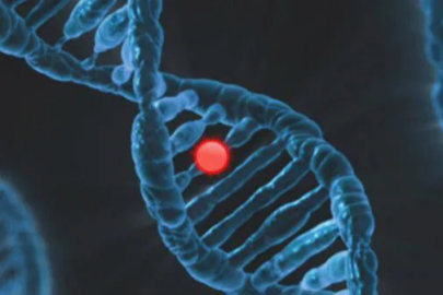 Laboratuvarda tasarlanan virüs umut oldu: Süper bakterilere karşı yeni dönem mi başlıyor