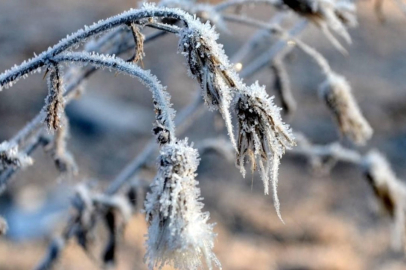 Batıda yağış, doğuda don ve çığ uyarısı!