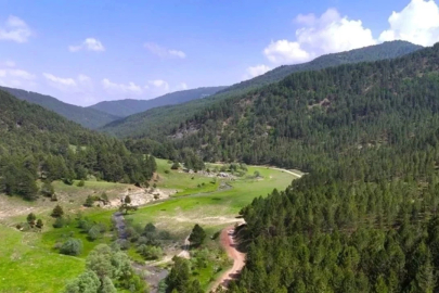 Orman kararı tartışma yarattı: 21 ilde sınırlar değişti