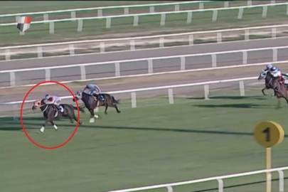 Kavurma olan yarış atı skandalındaki gelişme