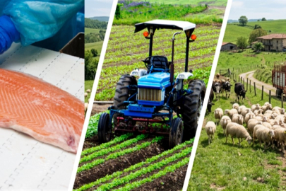 IPARD III’te yeni takvim açıklandı: Kırsala 241 milyon avroluk dev hibe