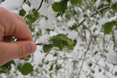 Don tehlikesi büyüyor: Çiftçiye uyarı