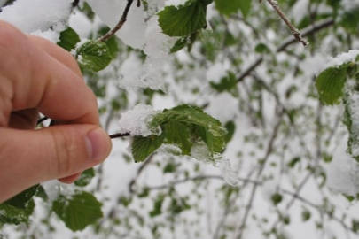 Don tehlikesi büyüyor: Çiftçiye uyarı
