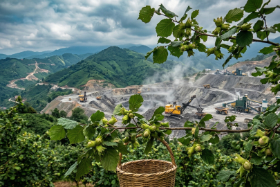 Bir şehrin idam fermanı: Giresun’un %85’i maden şirketlerine teslim!