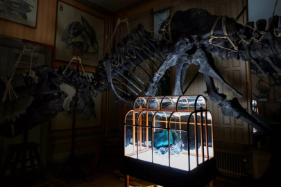 65 milyon yıl sonra geri döndü! Dinozor derisinden çanta satışa çıkıyor