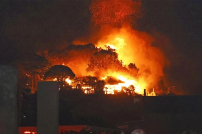 Japonya’da günlerdir süren yangın: Bin hektardan fazla alan kül oldu