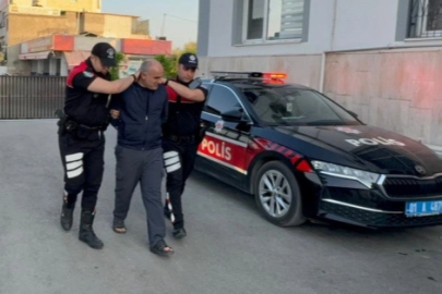 Köpeğe şiddet uygulayan zanlı yakalandı