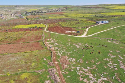 Şanlıurfa dünya sahnesinde: Taş Tepeler Projesi büyüyor