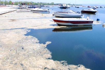 Marmara Denizi’nde müsilaj alarmı: Arıtma yapılmazsa geri dönüş zor
