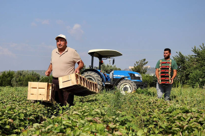 IPARD-III kapsamında üreticilere 374,7 milyon liralık destek ödemesi yapıldı