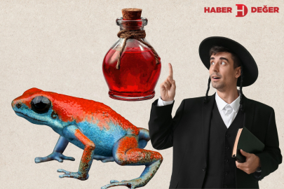 Tanrı’yı Hissetmek İçin Kurbağa Zehri: Ortodoks Yahudiler Arasında Yükselen Psychedelic Akım