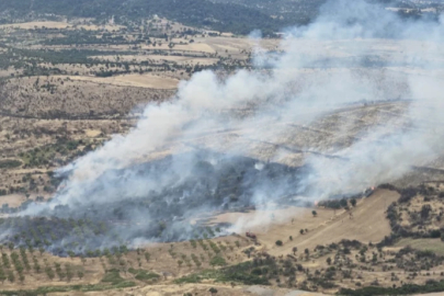 Çanakkale’de  orman yangını başladı