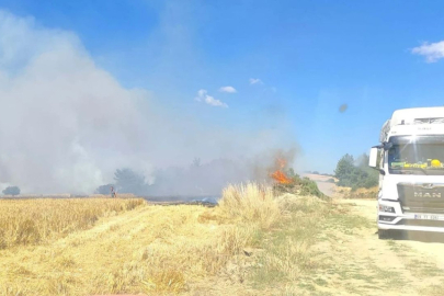 Çanakkale'de tarım arazisinde yangın paniği
