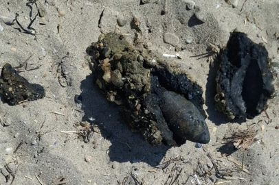 Çanakkale halk plajında mühimmat bulundu