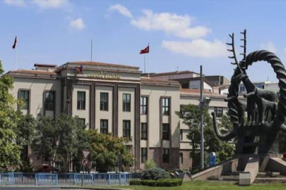 Mahkeme Ankara Valiliği'nin "sahipsiz köpek besleme" yasağını  iptal etti