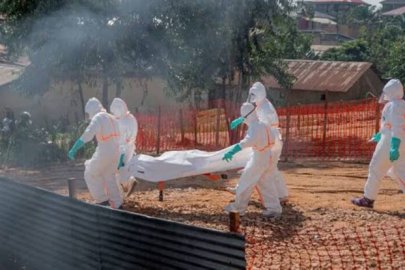 Nijerya'da ilk ebola vakası tespit edildi: 44 temaslı takip altında